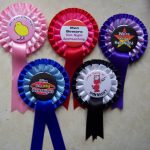 Hen Party Badge Packs Extras A1- Rosette Upgrade