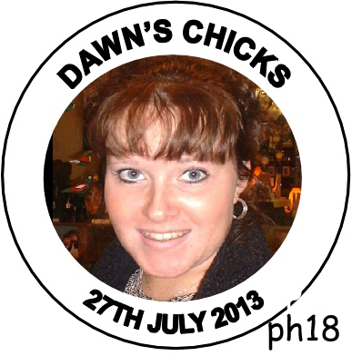 hen night badges. photo badge and rosette centre